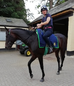 Johnston Racing 